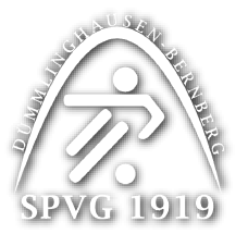 Logo SPVG Dümmlinghausen