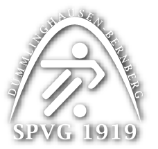 Logo SPVG Dümmlinghausen